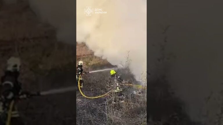 Фото для новини:Сумщина. ПЕКЛО на дорозі: атака на вантажівку