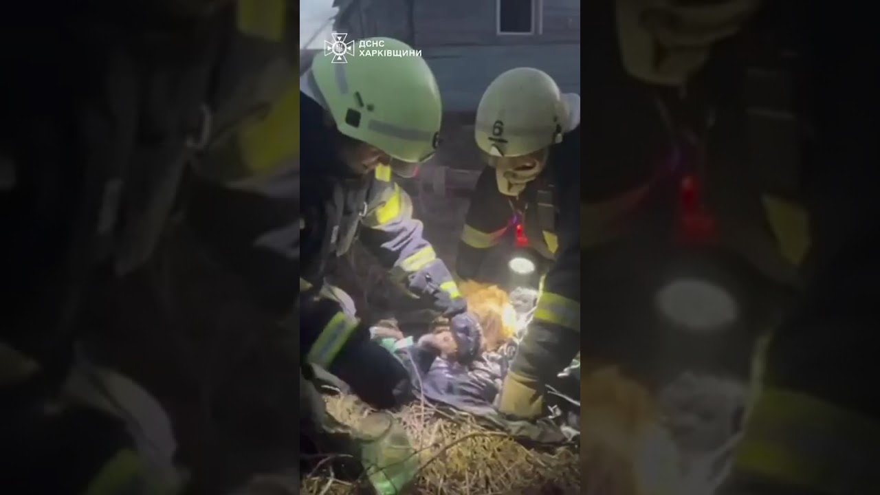 Фото для новини:Кожне життя має значення: порятунок хвостиків під час пожежі у Харкові