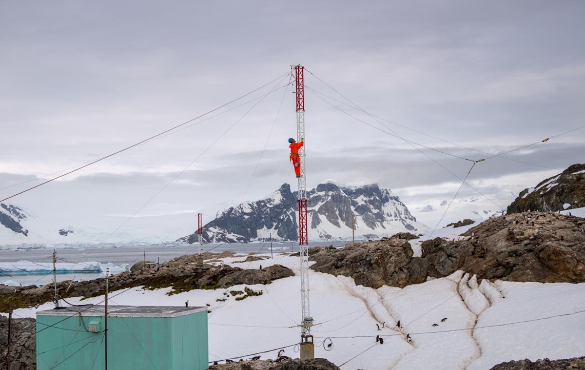 Фото для новини:Пінгвіни, птахи і тюлень: українські полярники перемогли у фотоконкурсі
