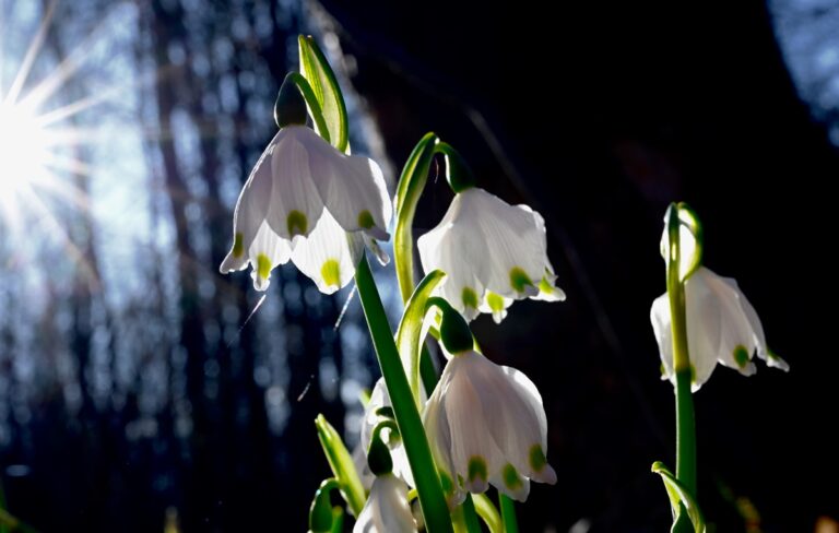 Фото для новини:Прогріє до +15&deg;: якою буде погода на початку тижня