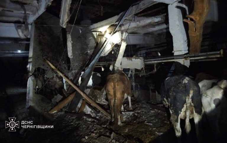 Фото для новини:РФ атакувала сільгосппідприємство на Чернігівщині