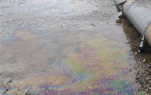 Фото для новини:Забруднення Дністра: у Молдові виявили нові нафтові плями і мертвих птахів