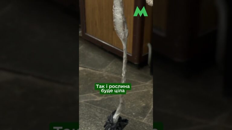Фото для новини:Як перевозити саджанці у столичному метро: правила