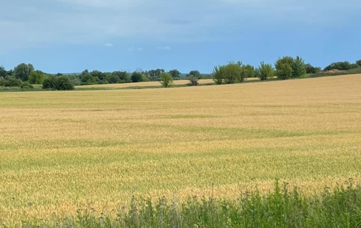 Фото для новини:Державі повернули понад 500 га особливо цінних земель НААН