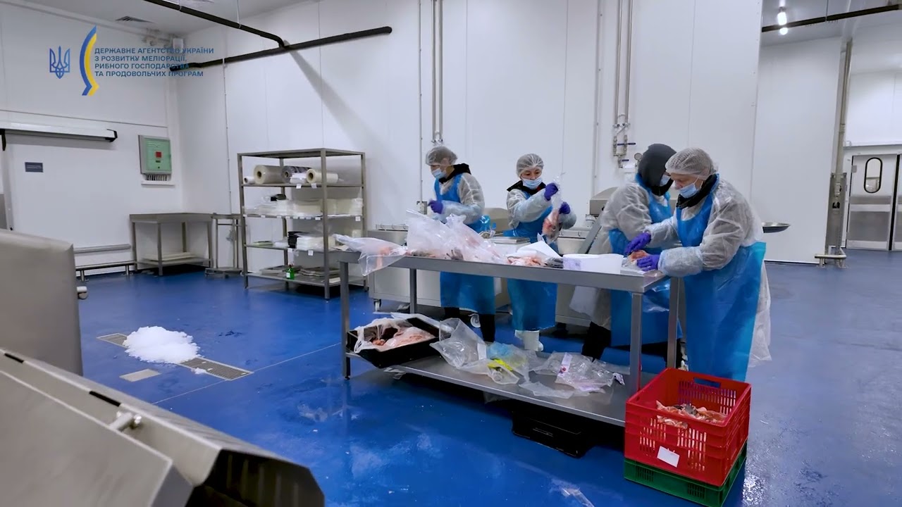Фото для новини:❗️ Рибопереробка – від вилову до вашого столу