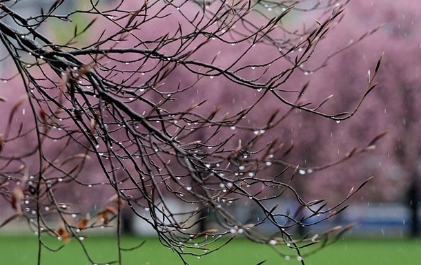 Фото для новини:Холод і нічні заморозки: якою буде погода у найближчі дні