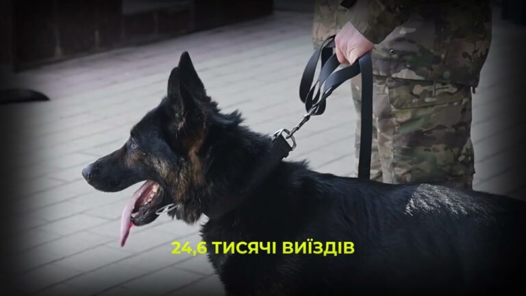 Фото для новини:Майже 900 службових собак: як працює кінологічна служба Нацполіції