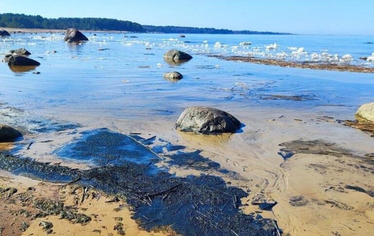 Фото для новини:Під атакованою Усть-Лугою виявили величезну нафтову пляму - ЗМІ