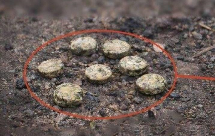 Фото для новини:Росіяни дистанційно замінували школу у Херсоні