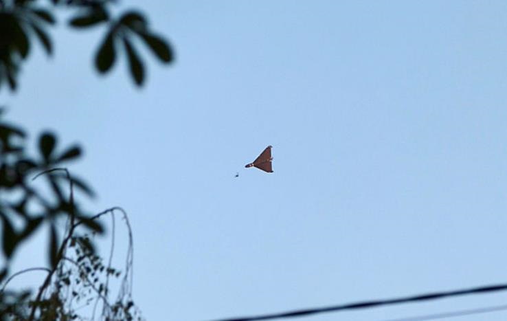 Фото для новини:Російський дрон залетів на територію Румунії