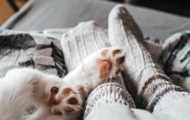 Фото для новини:Шкарпетки замість снодійного: неочевидний секрет кращого сну