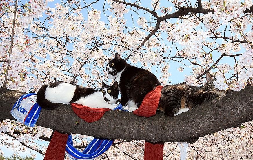 Фото для новини:Синоптики повідомили, коли в Україну вернеться тепло