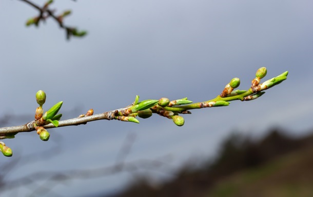 Фото для новини:Стало відомо, якою буде погода у вихідні