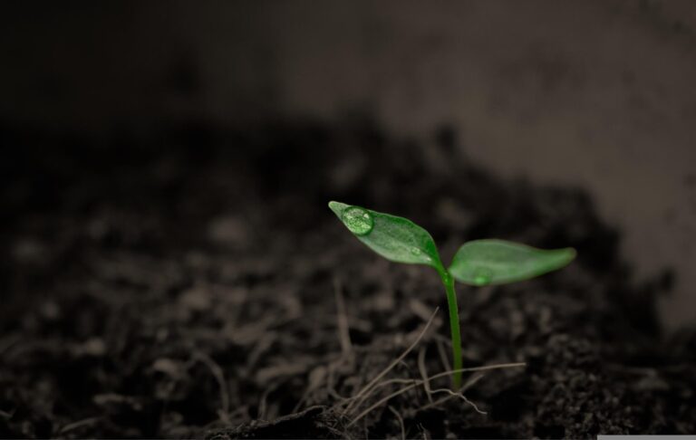 Фото для новини:Суперкомп&rsquo;ютер NASA назвав приблизну дату кінця життя на Землі