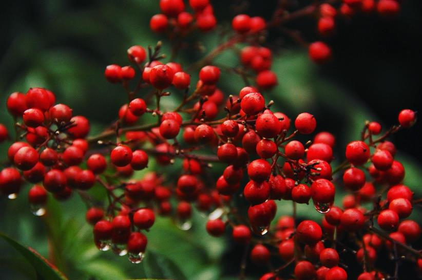 Фото для новини:Свята 22 квітня 2026 року: іменини, традиції