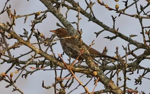 Фото для новини:Свята 24 квітня 2026 року: іменини, традиції