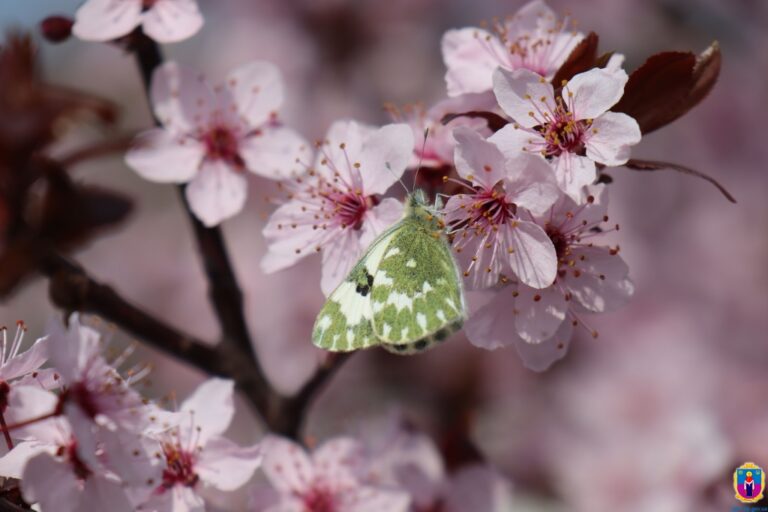 Фото для новини:Свята 27 квітня 2026: іменини, заборони, факти