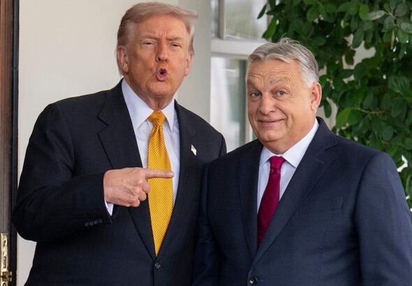 Фото для новини:Трамп е турбується через поразку Орбана