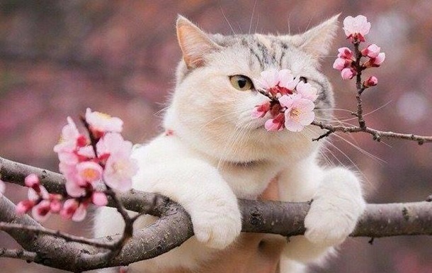 Фото для новини:Травень в Україні: прогноз погоди та кліматичні особливості