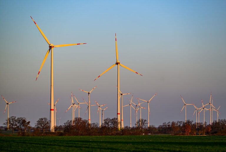 Фото для новини:У Німеччині ціни на електроенергію впали нижче нуля