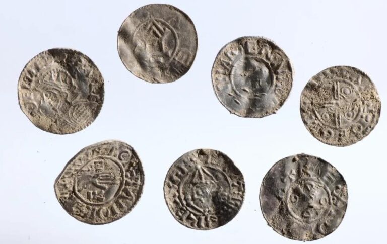 Фото для новини:У Норвегії знайшли найбільший скарб епохи вікінгів