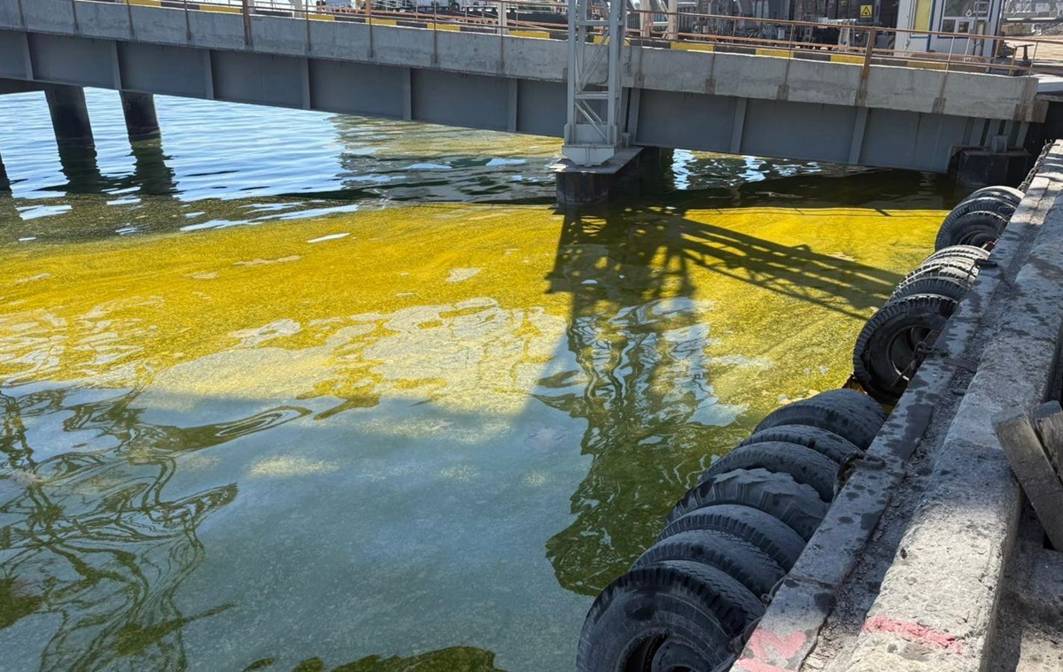 Фото для новини:У порту Одещини в море потрапили тисячі тонн олії