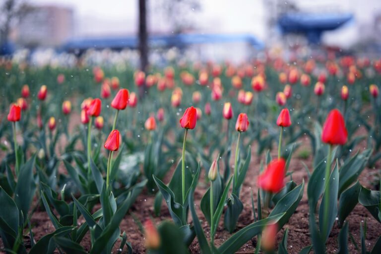 Фото для новини:Українців попередили про похолодання