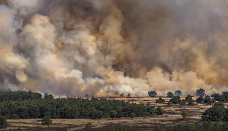 Фото для новини:В Нідерландах розгорілася пожежа на військовому полігоні