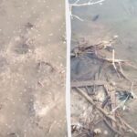 Фото для новини:В Одеській області зафіксовано мільярди комарів