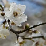 Фото для новини:В Україні прогнозують подальше похолодання