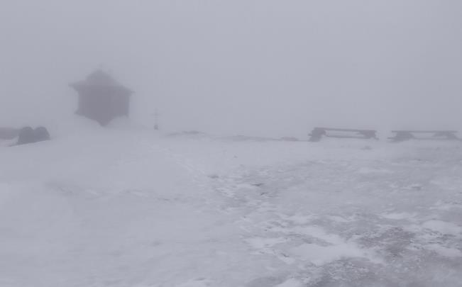 Фото для новини:В Україні заморозки, місцями сніг