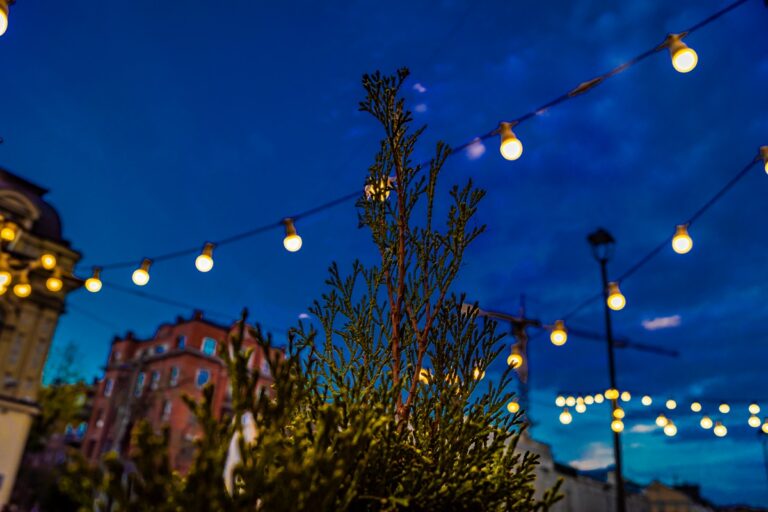 Фото для новини:В Укренерго визначилися щодо відключень у вівторок