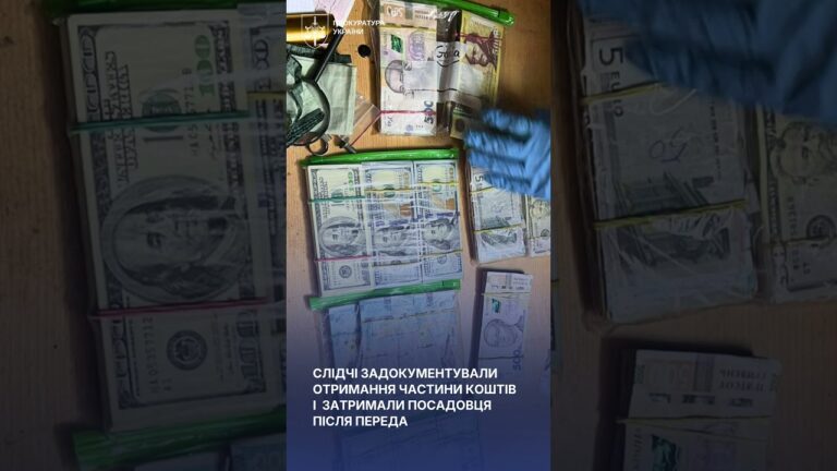 Фото для новини:Голову ВЛК на Закарпатті затримали із мільйонами готівки