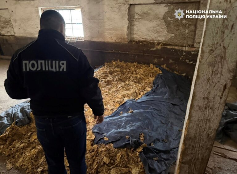 Фото для новини:Викрито схему повного циклу виробництва нелегального тютюну на Закарпатті