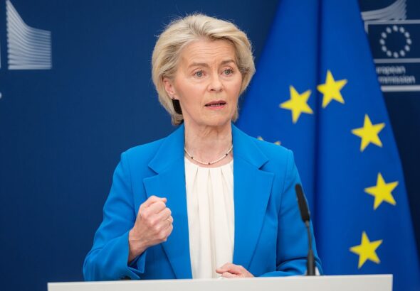 Фото для новини:ЄС запустить застосунок для перевірки віку в інтернеті