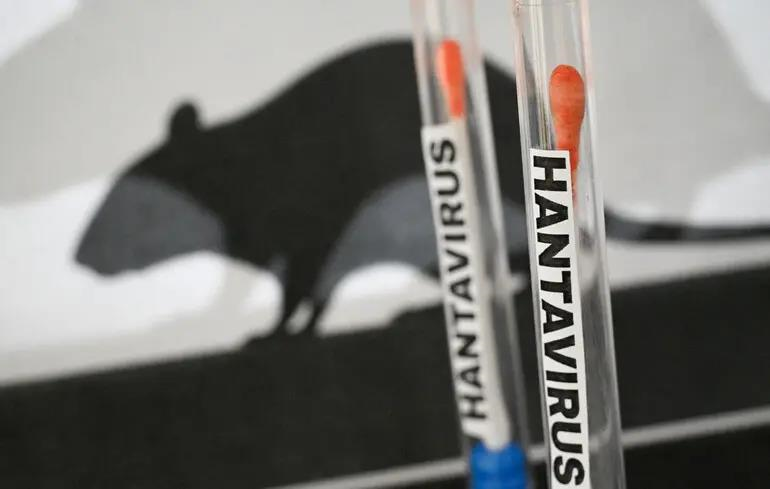 Фото для новини:Хантавірус і глобальна паніка: кому вигідний новий страх