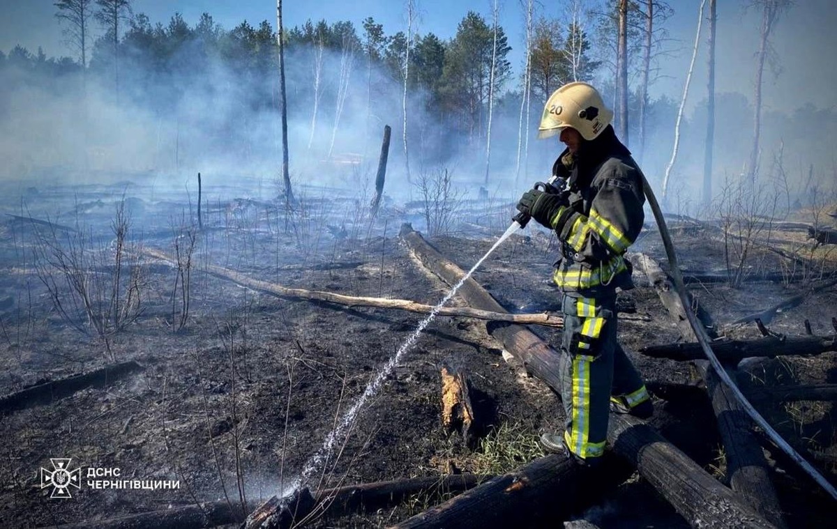 Фото для новини:На Чернігівщині палають тисячі гектарів лісу