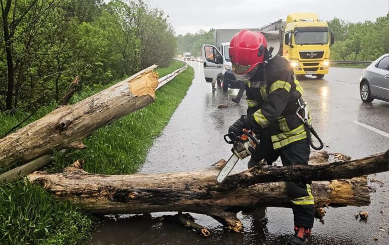 Фото для новини:Повалені дерева перекрили траси: Україну накрила негода