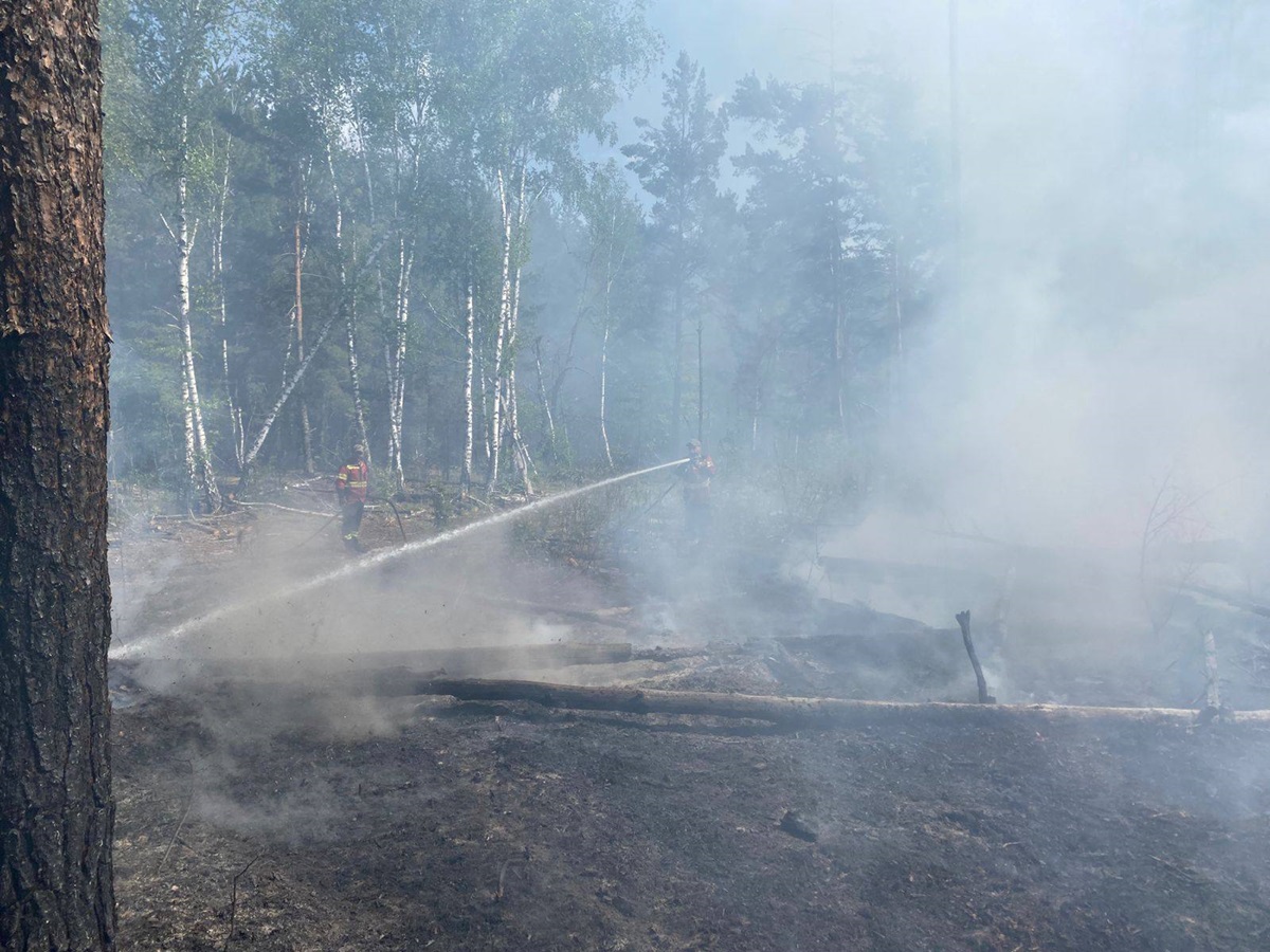 Фото для новини:Російські дрони знову підпалили зону відчуження