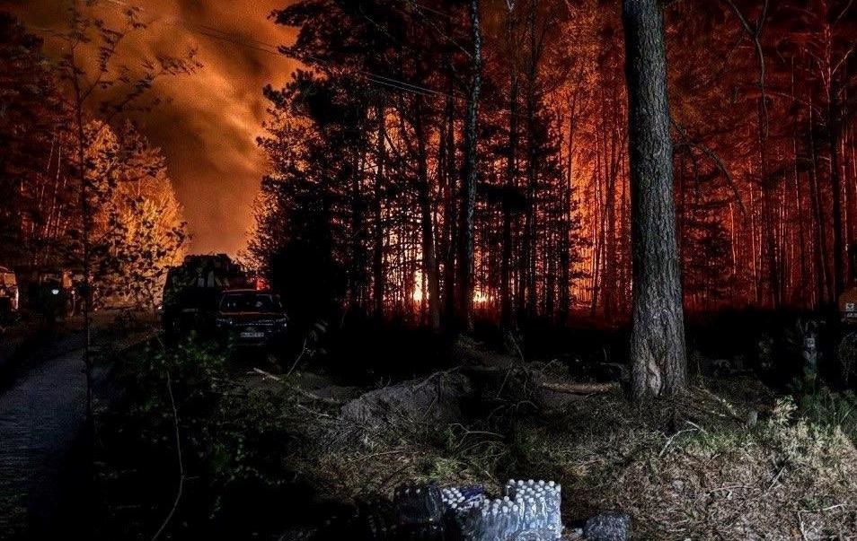 Фото для новини:У Зоні відчуження триває ліквідація лісової пожежі