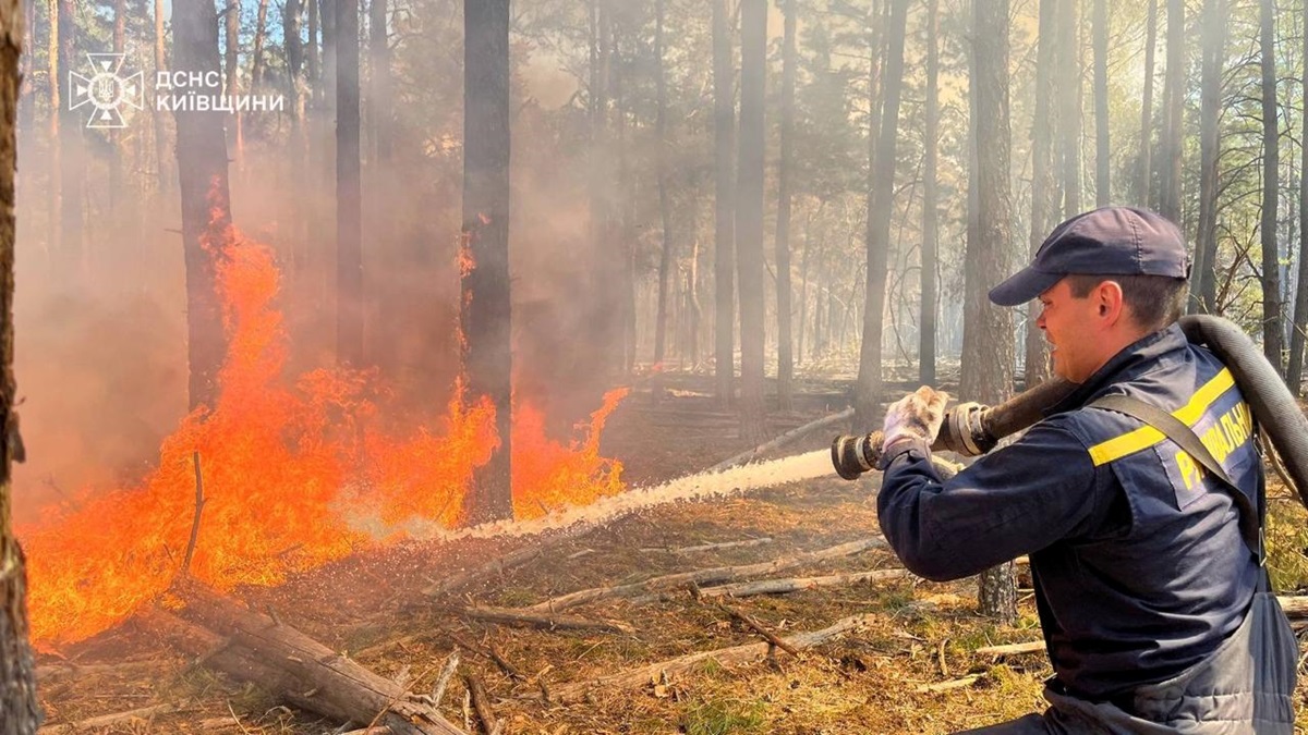 Фото для новини:В ДСНС розповіли про наслідки масштабних пожеж