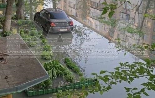 Фото для новини:В Енгельсі заявили про "фекальний апокаліпсис"