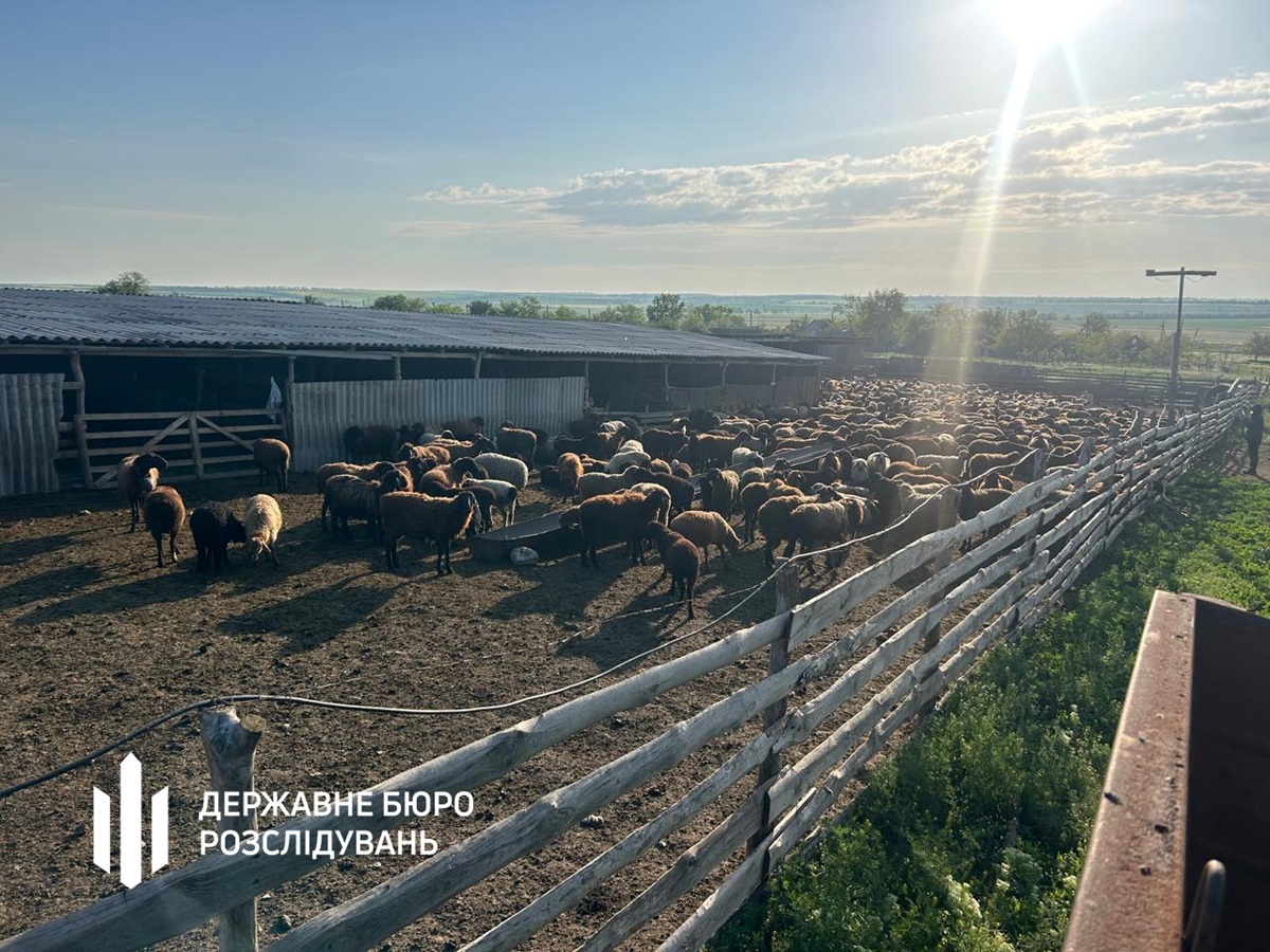 Фото для новини:Викрито схему привласнення коштів в Держпродспоживслужбі