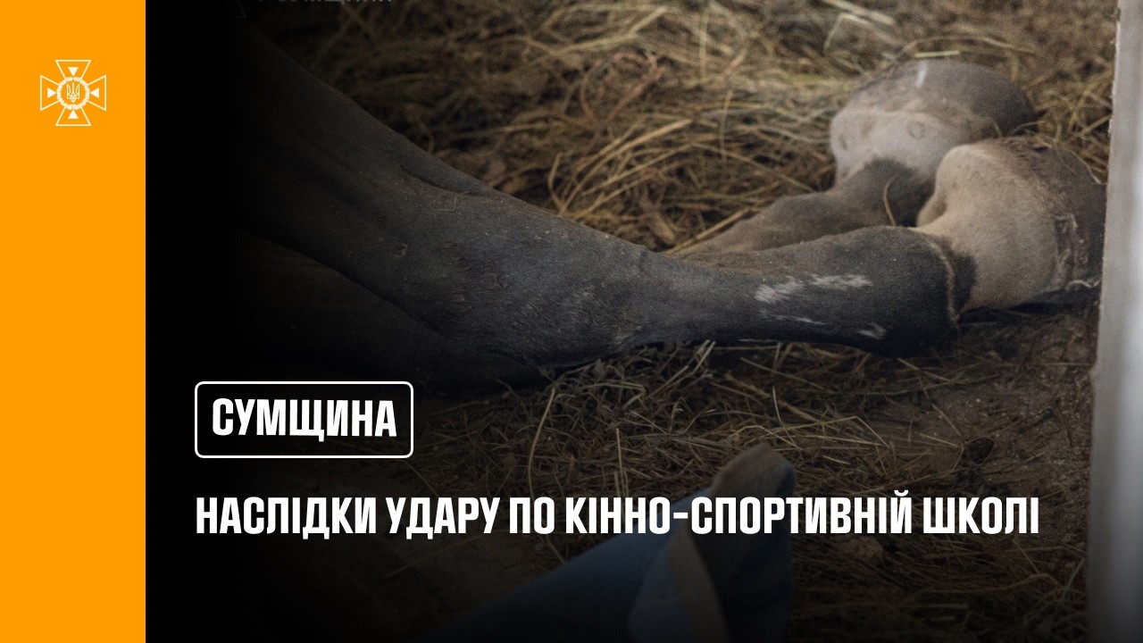 Фото для новини:Суми: рятувальники ліквідували наслідки російського удару по території кінно-спортивної школи