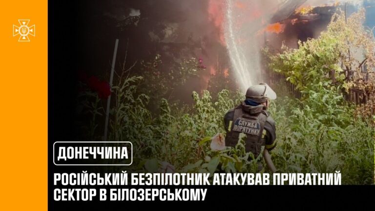 Фото для новини:Донеччина: російський БпЛА атакував приватний сектор в Білозерському