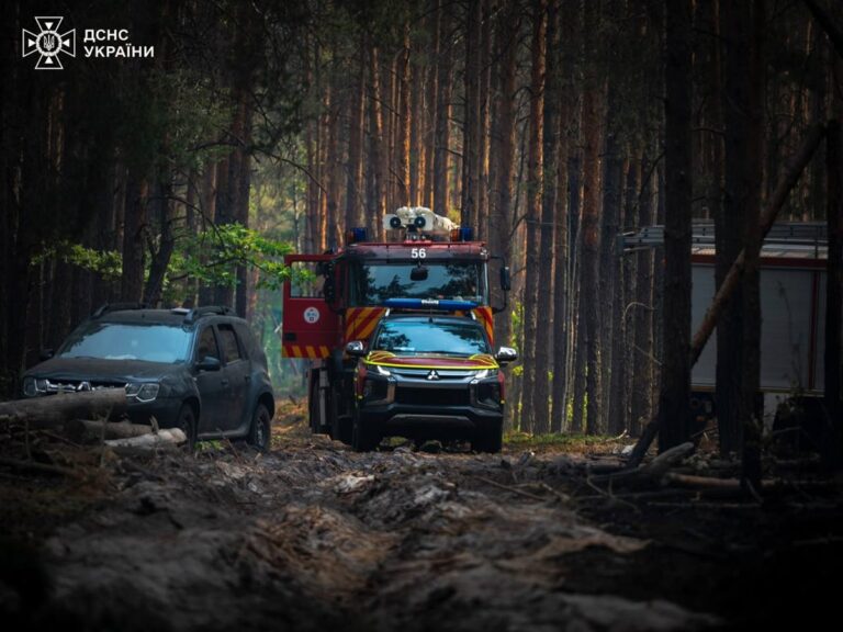 Фото для новини:Пожежу в Чорнобильській зоні частково локалізували