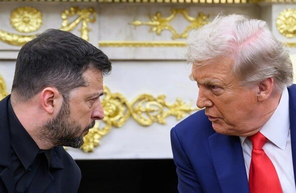 Фото для новини:Трамп сказав Зеленському бути "сміливішими" з РФ - ЗМІ