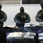 Фото для новини:У Німеччині вилучили рекордні вісім тонн кокаїну