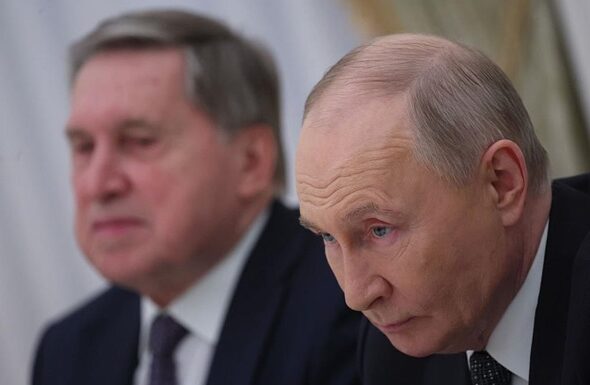 Фото для новини:У Путіна підтвердили, що їхній делегат був у Києві