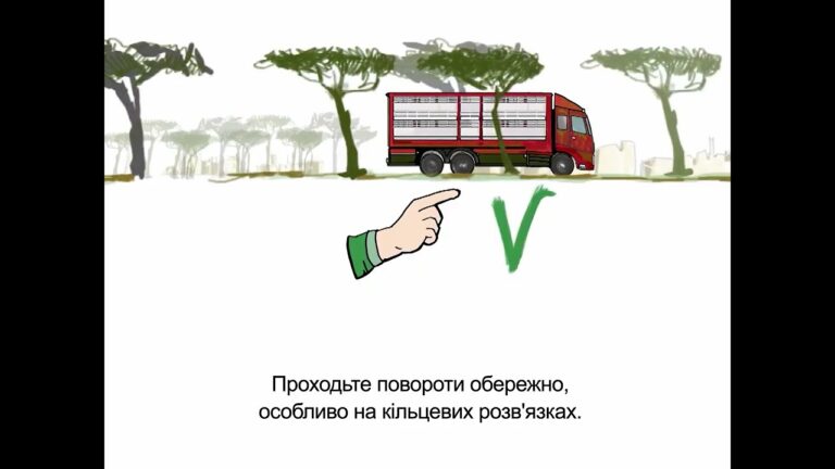 Фото для новини:Належні та кращі практики транспортування овець